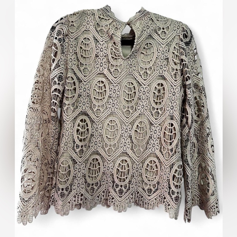 Ultra Pink Lace Blouse in Cream - Picture 5 of 11